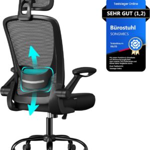 Ergonominė biuro kėdė