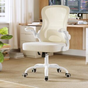 Ergonominė biuro kėdė